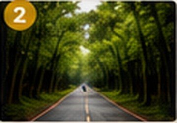 Bilar Man-Made Forest