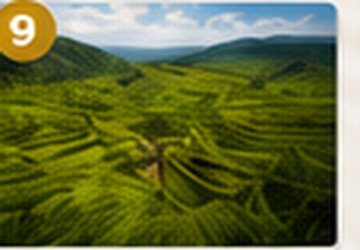Cadapdapan Rice Terraces